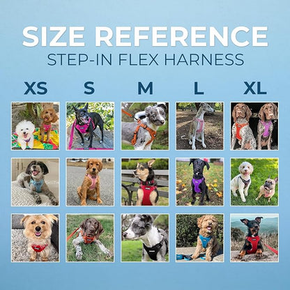 Best Pet Supplies Voyager Adjustable Step-in Flex Breathable Mesh Dog Harness for Small Medium Large Dogs Leash Set (Red), M