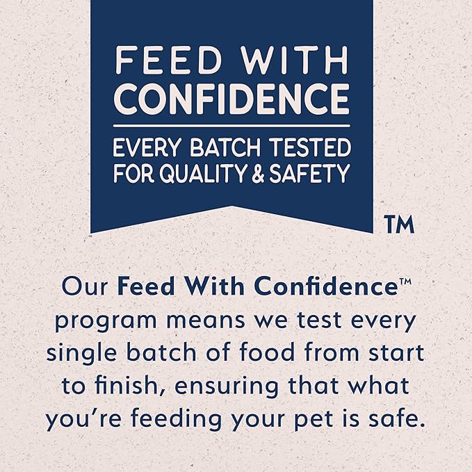 Natural Balance Limited Ingredient Adult Grain-Free Wet Canned Dog Food, Sweet Potato & Salmon Recipe, 13 Ounce (Case of 6)