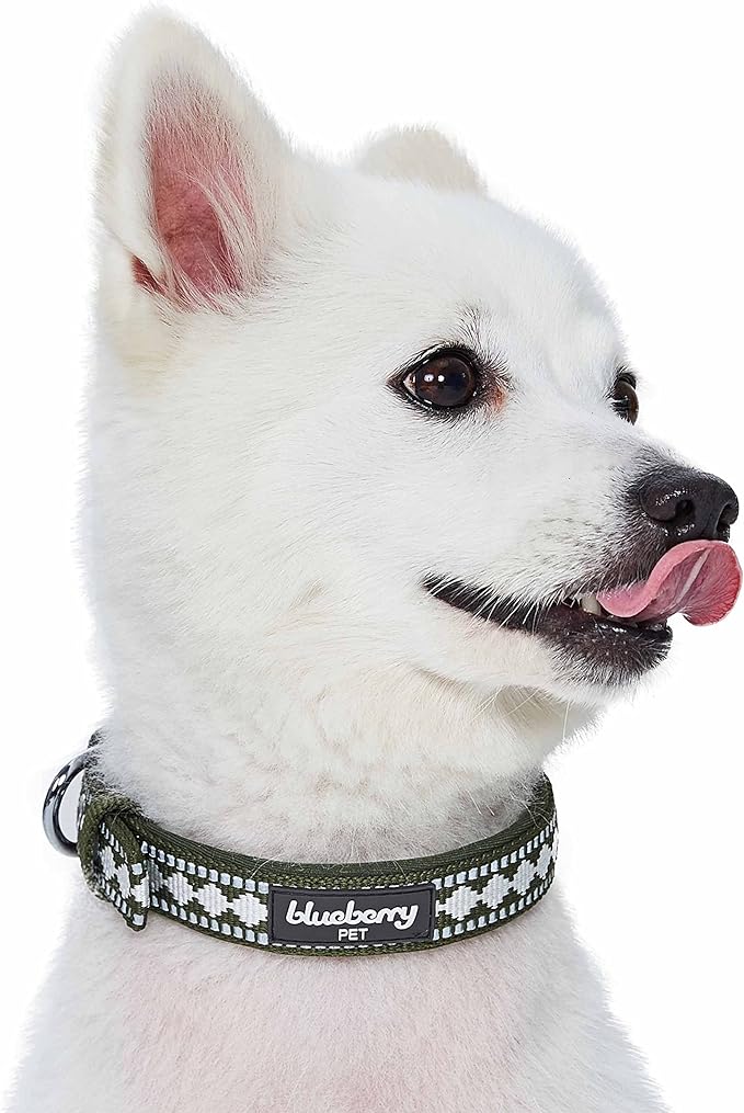 Blueberry Pet Reflective Jacquard Dog Collar with Neoprene Padding & Metal Buckle | Soft & Adjustable Safety Collar - Olive, Neck 13-16.5", for Medium Breed
