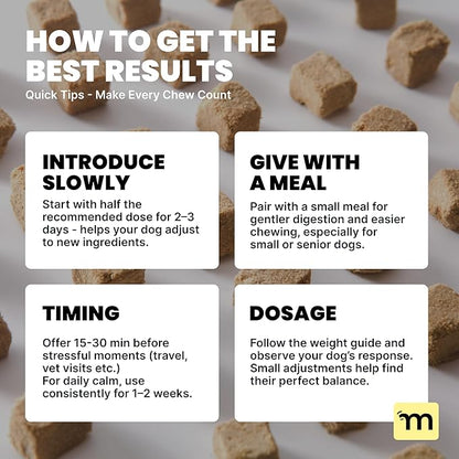 MalsiPree Calming Soft Chews for Dogs - 145 Count, Salmon Flavor - Promotes Relaxation & Composure - Support for Car Rides, Loud Noises, Grooming & Changes in Routine - with Chamomile & Melatonin