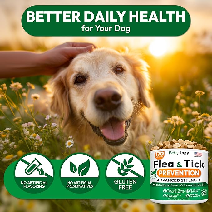 (2 Pack) Flea and Tick Prevention for Dogs Pills - 340 Chews - Natural Dog Flea & Tick Control - Oral Defense Treatment for Dogs Supplement - Vet Formulated - All Breeds & Ages - Made in USA