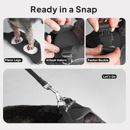PetiFine Extra Small Step in Dog Harness and Leash Set, Cat Harness and Leash Escape Proof, All Weather Mesh Reflective, Step-in Air Vest Harnesses for Puppy(XXXS, Black)