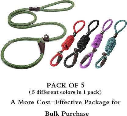 Fida Durable Slip Lead Dog Leash Bulk Pack of 5, Heavy Duty 1/2" x 6 FT Comfortable Strong Rope Slip Lead for Large, Medium & Small Dogs No Pulling Pet Training Leash with Highly Reflective (Mixed)