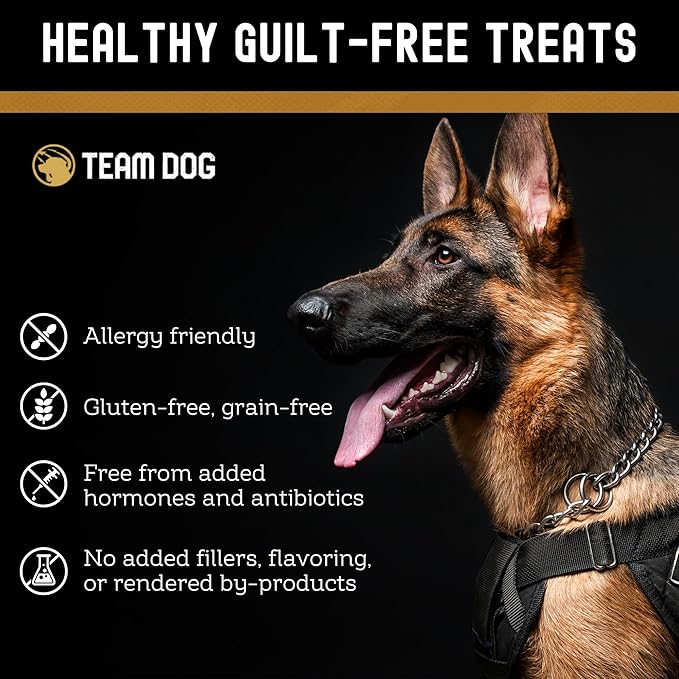 Team Dog Freeze Dried Salmon Dog Treats for Training | Healthy Gluten Free, Grain Free Dog Treats | No Added Fillers, Flavoring or by-Products | for All Breeds & Sizes | 5 Oz Salmon Bites