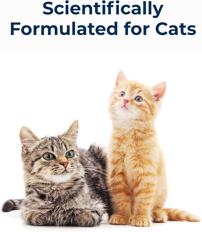PetAg Cat-Sip Real Milk - 8 oz, 8 Pack - Ready-to-Feed Snack for Cats & Kittens - Easy to Digest with 99% Lactose-Free, Low-Fat Grade A Milk - Encourages Hydration