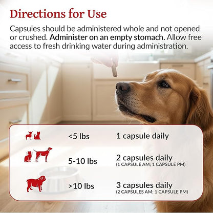 AZOTHRIVE - Kidney Probiotic Support Supplement for Cats and Dogs - 18 Billion CFU - Manage Renal Toxins - CKD - Made in USA - No Refrigeration Needed - 120ct Easy to Swallow Small Oral Capsules