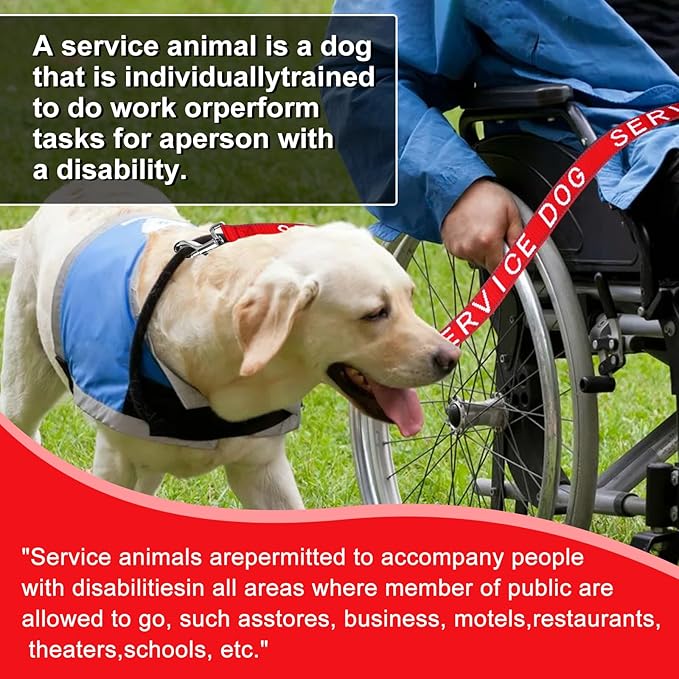 YeeBeny Service Dog Leash, Emotional Support Leash with Neoprene Handle and Reflective Lettering, Service Dog Stuff for Vest for Harnesses, Vests or Collars (Black, 0.94width)