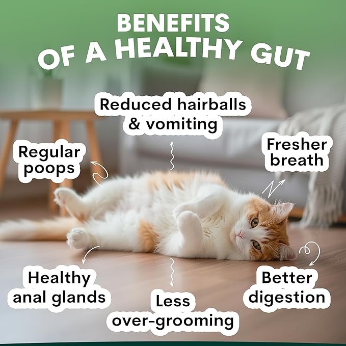 Petz Park Probiotics for Cats 60 Scoops, Cat Probiotic Powder for Hairball and Digestive Support, Gut Health Supplement for Cats and Kittens, Cat Food Topper Made in Australia