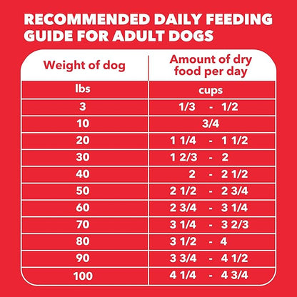 IAMS Proactive Health Adult Minichunks Dry Dog Food Lamb & Rice Recipe, 38.5 lb. Bag