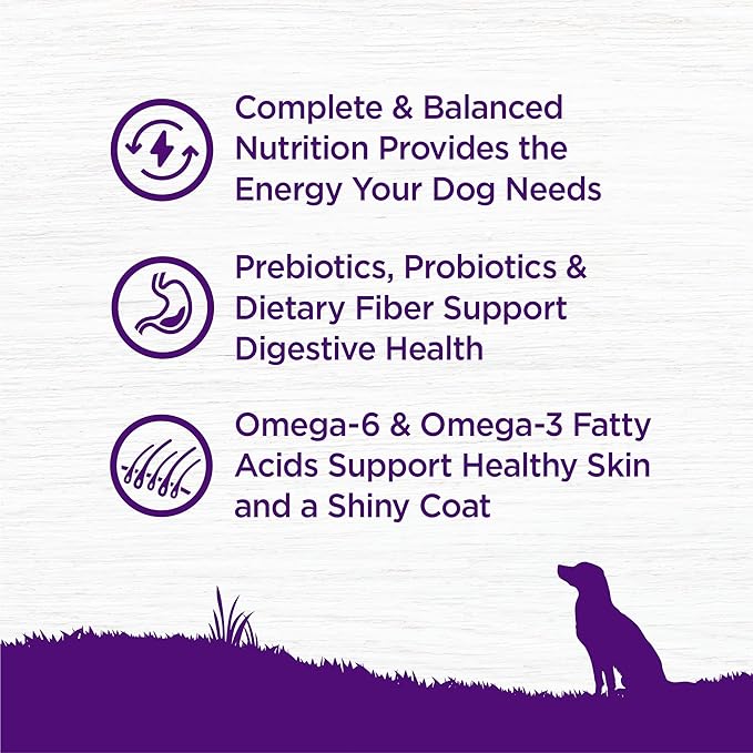 Wellness Complete Health Adult Dry Dog Food, Wholesome Grain Kibble, Natural, Chicken Free, Whitefish and Sweet Potato Recipe, 26 lb Bag