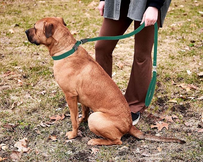 Slip Lead Dog Leash,Soft Corduroy 6 FT Dog Training Leash for Medium Large Dogs,No Pull Slip Leash and Collar with Padded Handle,Dark Green