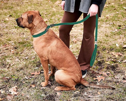 Slip Lead Dog Leash,Soft Corduroy 6 FT Dog Training Leash for Medium Large Dogs,No Pull Slip Leash and Collar with Padded Handle,Dark Green