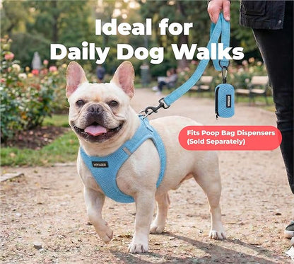 Best Pet Supplies Voyager Reflective Dog Leash or Collar with Neoprene Handle, for Small, Medium, and Large Breed Puppies, Cute and Heavy Duty for Walking, Running and Training - Baby Blue (Leash), M