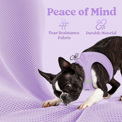 rabbitgoo Small Dog Harness, Step-in Soft Mesh Puppy Vest with Safety Buckle, Breathable Reflective Pet Harness for Small Sized Dogs, Light Purple M