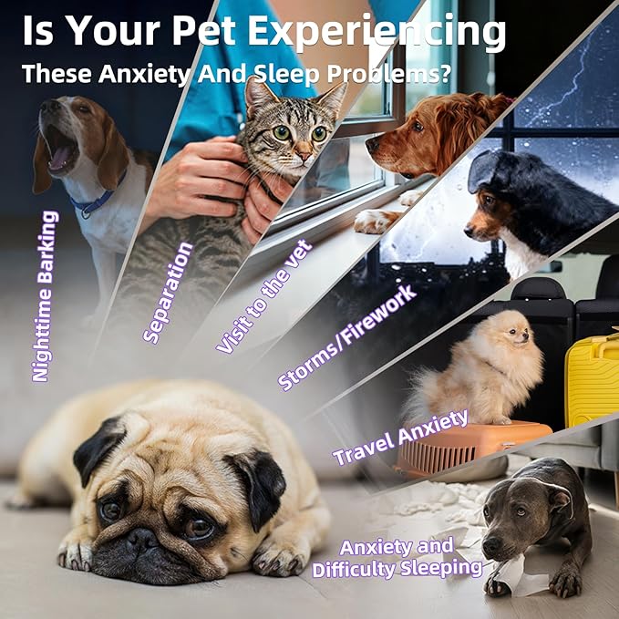 Liquid Melatonin for Dogs and Cats, Cat Melatonin, Dog Sleep Aid, Dog Anxiety Relief, Calming Behavior in Pets, Helps Restful Sleep, Small & Large Dogs, Bacon Flavor (60ml)