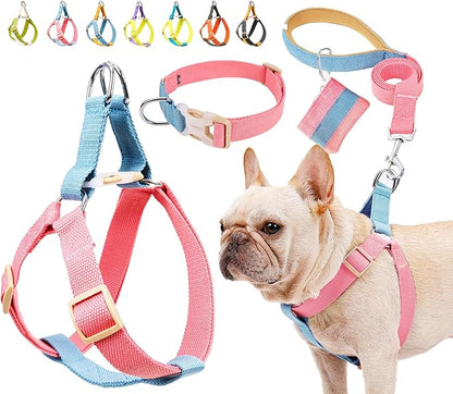 No Pull Dog Harness and Leash Set, Step in Dog Halter Harness with Poop Bag Holder, Adjustable Lightweight Cotton Straps Suitable for Small Medium Large Dogs Outdoor Walking Running Hiking