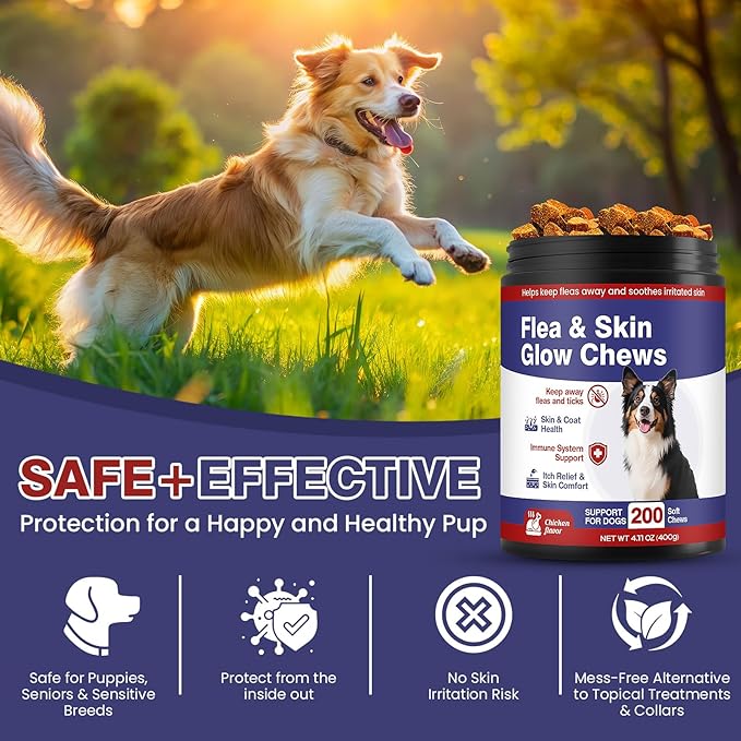 Flea and Tick Prevention for Dogs Chewable Omega Skin and Coat Chews for Dogs Natural Pet Oral Flea Chewables Increase Hair Shine Nutritional Supplements 200 Soft All Breeds Ages Chicken Flavor