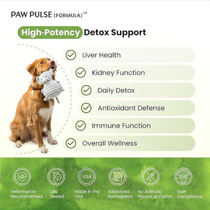 Pawpulse Formula Milk Thistle for Dogs – Liver & Kidney Support Powder with Silymarin & Glutathione – Daily Detox, Antioxidant & Metabolic Natural Support, 2.12 oz