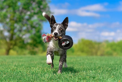 Mammoth TireBiter2 Tug & Toss For Strong Chewers Large Dogs Up To 90-Pounds