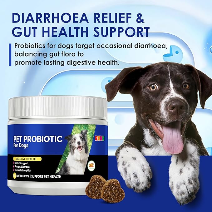 Probiotics for Dogs with Digestive Enzymes & Prebiotics - Diarrhoea Relief, Gut Health Support, Immune & Anti-Itch Function, Chicken Flavor, 120 Chews