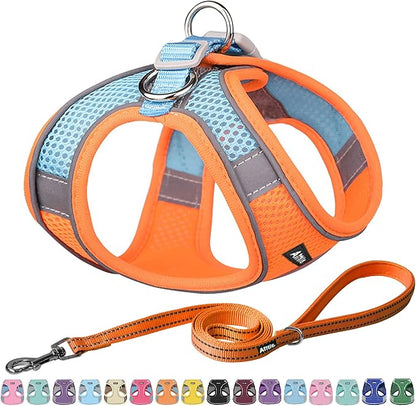 AIITLE Easy Walk Dog Harness and Leash Set - Pet Supply No Pull, Step in Adjustable Dog Harness with Padded Vest, Dog Harness No Choke Over, Easy to Put on Medium Dogs Orange L