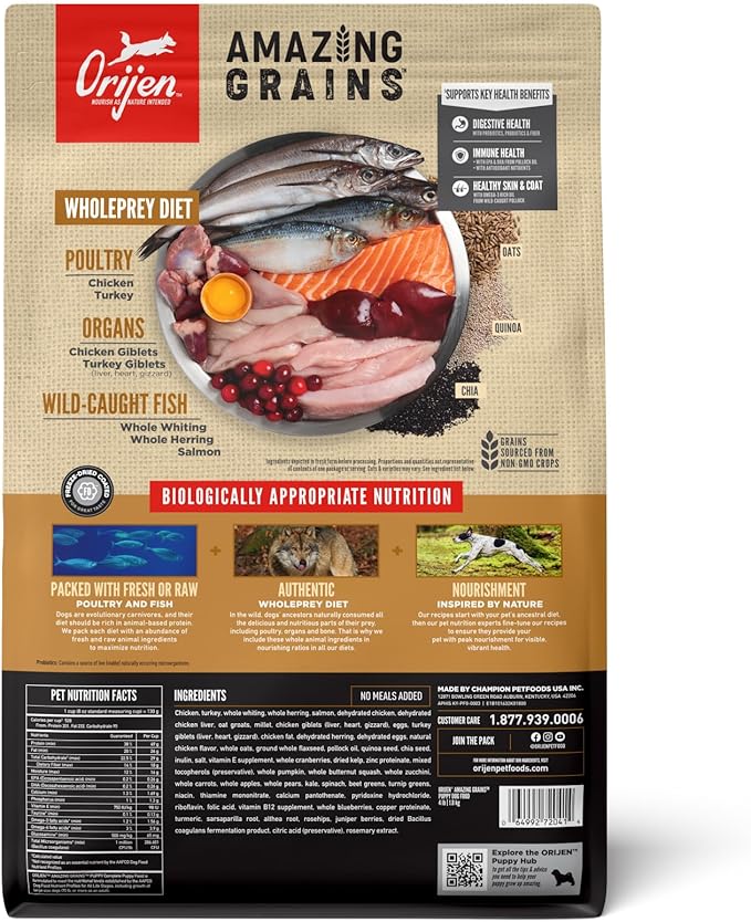 ORIJEN Amazing Grains High Protein Dry Dog Food Puppy Recipe 4lb Bag