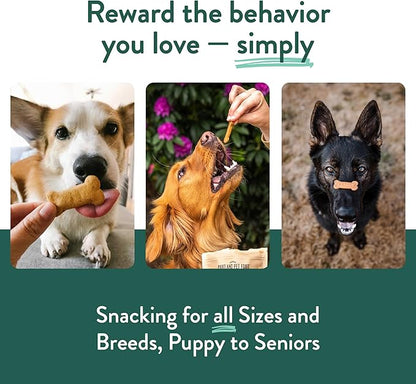 Portland Pet Food Company Pumpkin Dog Treats Healthy Biscuits for Small Medium & Large Dogs - Grain-Free, Human-Grade, All Natural Cookies, Snacks & Puppy Training Treats - Made in The USA - 5 oz