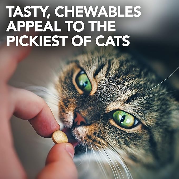 Vet's Best Cat Urinary Supplement, Urinary Tract Support Chewable for Cats, Supports A Healthy Urinary Tract in Cats, 60 Chewable Tablets