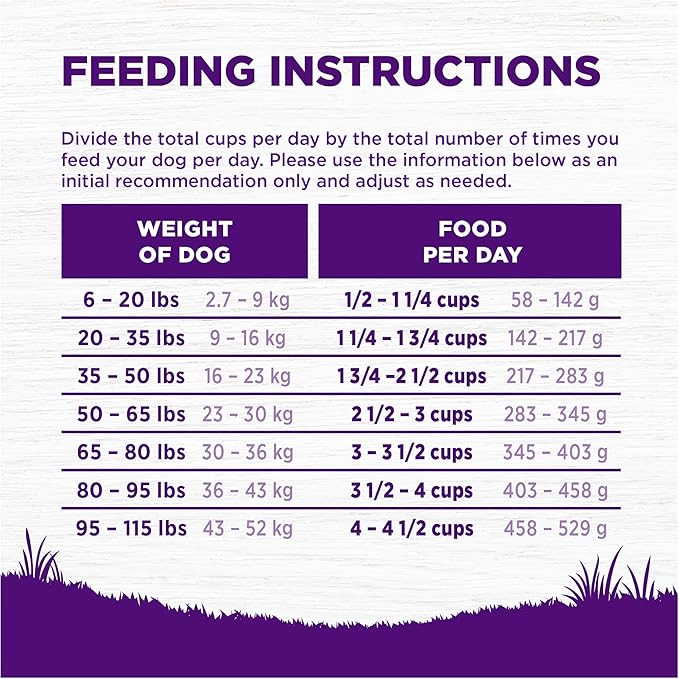 Wellness Complete Health Age Advantage Senior Dry Dog Food, Wholesome Grain Kibble, Natural, Chicken and Barley Recipe, 26 lb Bag