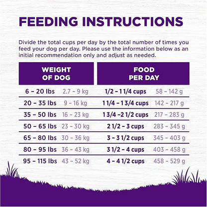 Wellness Complete Health Age Advantage Senior Dry Dog Food, Wholesome Grain Kibble, Natural, Chicken and Barley Recipe, 26 lb Bag