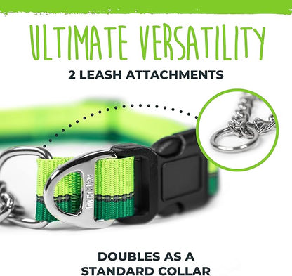 Mighty Paw Martingale Dog Collar 2.0 | Trainer Approved Limited Slip Collar with Stainless Steel Chain & Heavy Duty Buckle - Modified Cinch for Gentle & Effective Pet Training - S/M, Green
