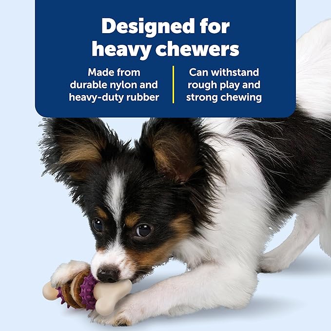PetSafe Busy Buddy Bristle Bone - Durable Dog Chew Toy with Bristles & Rubber Nubs for Dental Health - Treat-Dispensing Toothbrush Toy for Hard Chewers - Dog Enrichment Supplies