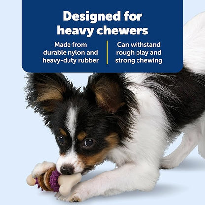 PetSafe Busy Buddy Bristle Bone - Durable Dog Chew Toy with Bristles & Rubber Nubs for Dental Health - Treat-Dispensing Toothbrush Toy for Hard Chewers - Dog Enrichment Supplies