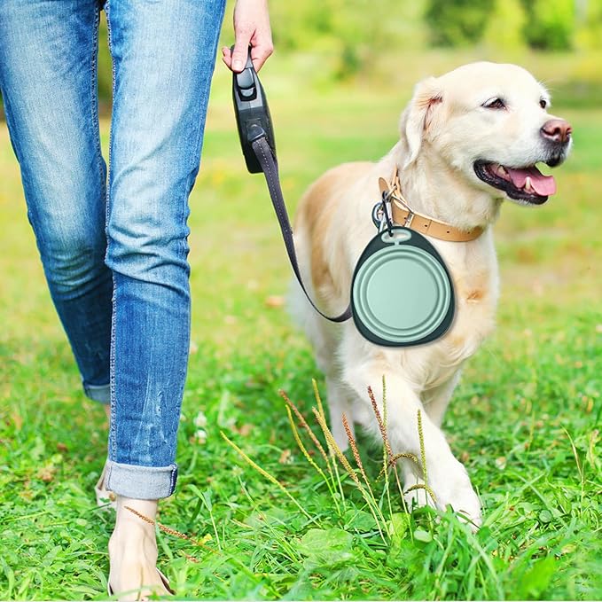 LEAWALK Reusable Pet Collapsible Bowls 2 Pack for Cats Dogs, Portable Pet Feeding Watering Dish with 2 Carabiners for Walking Parking Traveling Indoor， (Medium Blue+Green)