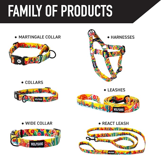 Wolfgang Heavy Duty Martingale Dog Collar with Quick Release Nylon Buckle for Walking & Training, PackLeader Print, Extra Large