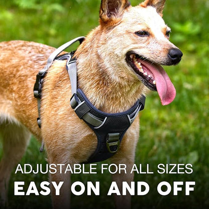 Embark Adventure Small Dog Harness – No-Pull, Reflective Trim, Military-Grade Nylon, Front Clip with Gel-Lined Handle, Soft & Padded