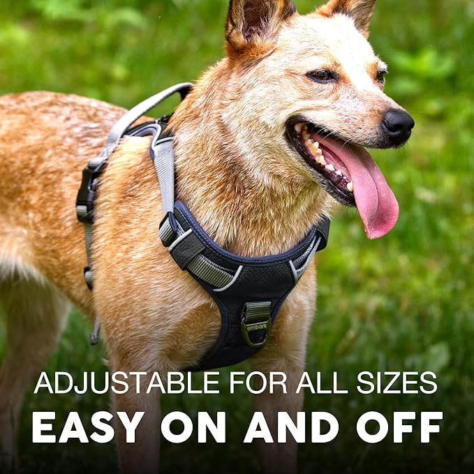 Embark Adventure Dog Harness for Small, Medium & Large Dogs – No Pull, Reflective Trim, Military Grade Nylon, 2 Leash Clips, Gel-Lined Handle, Soft Padded