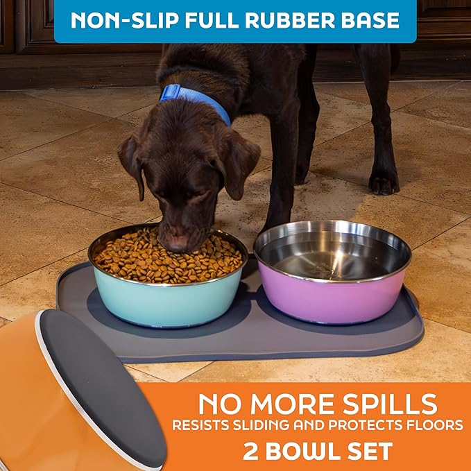 Master Pet Supply Stainless Steel Dog Bowls Set of 2 (64 Oz Each) with Non-Slip Rubber Base - Mango Tango - Basic Dog Food Bowl Water & Food Bowls for Small Medium Large Dogs & Cats, Metal Dish