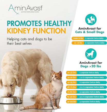 AminAvast Kidney Support Supplement for Cats and Small Dogs, 300mg 2-Pack - Promotes Natural Kidney Function - Aids in Health and Vitality of Aging Kidneys - Easily Administered - 60 Sprinkle Capsules
