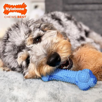 Nylabone Double Action Bone Strong Chew Toy for Dogs, Natural Rubber Dog Toy for Boredom, Peanut Butter Flavor, Large Dogs - Up to 50 lbs, 1 Count
