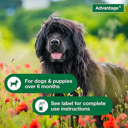 Advantage Dog Flea Treatment Spray | Kills Fleas & Ticks | Dog Flea Spray | 8 oz.