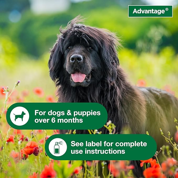 Advantage Dog Flea Treatment Spray | Kills Fleas & Ticks | Dog Flea Spray | 15 oz.