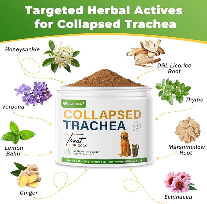 Dog Cough Powder–Relieves Cough, wheezing, tracheal Collapse, and Throat Irritation–Respiratory Health–Immune Support for Dogs in Kennel or Seasonal Challenges–All-Natural Herbal + Vitamin Blend–90g