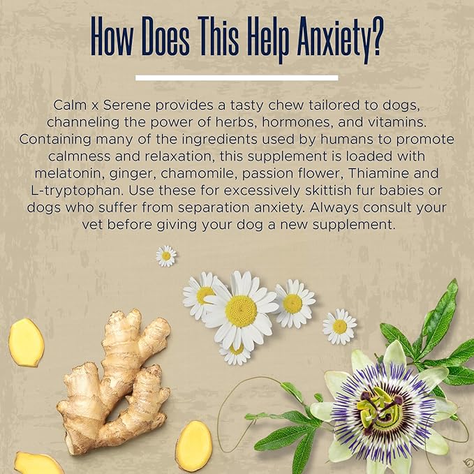 Calming Chews for Dogs with Melatonin - 60 Delicious Soft Treats for Dog Anxiety Relief for Large and Small Dogs - Includes Chamomile, Thiamine, L-Tryptophan - Promotes Rest and Relaxation
