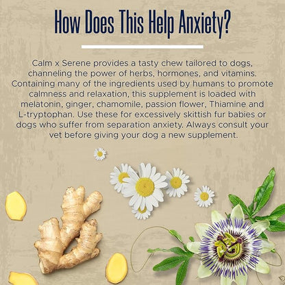 Calming Chews for Dogs with Melatonin - 60 Delicious Soft Treats for Dog Anxiety Relief for Large and Small Dogs - Includes Chamomile, Thiamine, L-Tryptophan - Promotes Rest and Relaxation
