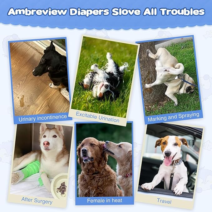 Ambreview Dog Diapers Female, Disposable Pulled Up Dog Diaper with Stretchy Waist, Super Absorbent 360° Leak-Proof Doggie Diapers for Female Puppy Dogs in Heat/Urinary Incontinence (100L)