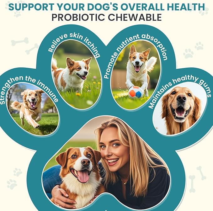 Probiotics for Dogs Gut Digestive Health Probiotic Chews for Dogs Digestive Enzymes Relieve Diarrhea Immunity Oral Problems Itching Constipation Prebiotics Dog Probiotics 200 Ct Chicken