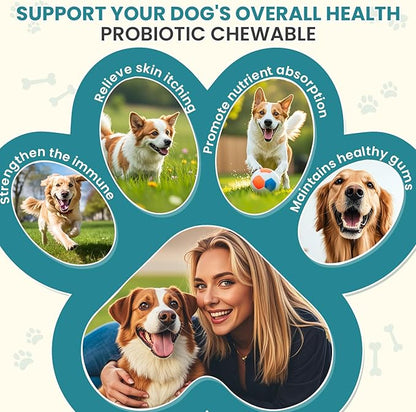 Probiotics for Dogs Gut Digestive Health Probiotic Chews for Dogs Digestive Enzymes Relieve Diarrhea Immunity Oral Problems Itching Constipation Prebiotics Dog Probiotics 200 Ct Chicken