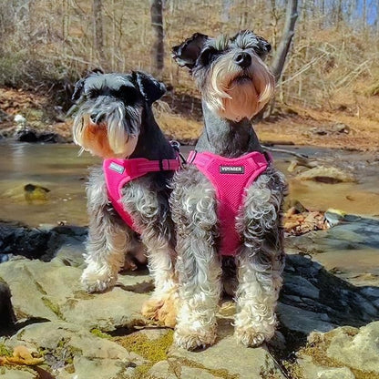 Best Pet Supplies Voyager Adjustable Step-in Flex Breathable Mesh Dog Harness for Small Medium Large Dogs (Fuchsia), L