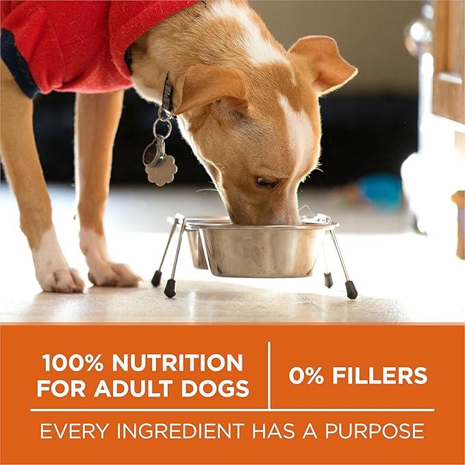 Purina ONE Plus Healthy Weight High-Protein Dog Food Dry Formula - 8 lb. Bag